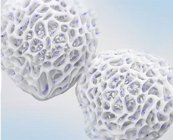 纖維素微載體-減少碰撞導(dǎo)致細(xì)胞脫落